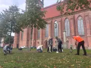 60.000 Krokuszwiebeln für die Konzertkirche Neubrandenburg