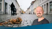 Alltagshelden in Neubrandenburg: Ein Lächeln statt Finderlohn
