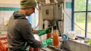 Dorf-Mosterei Gatschow: Äpfel, Birnen und Saft in der Saison