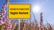 Hundeschau, Eselreiten und Laternenumzug am Tag der Einheit