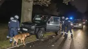 Jäger verliert nach Alkoholfahrt Führerschein, Job und Jagdschein