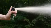 Pfefferspray für Ordnungsdienst: Teterow plant Schulung