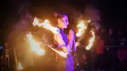 Zoo Rostock: Lampionfest und Führungen in den Herbstferien